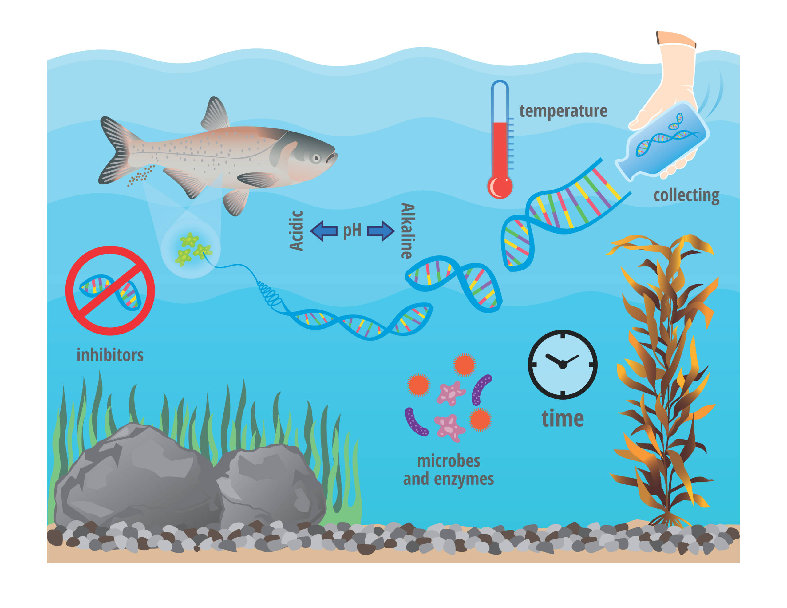 Intro To EDNA » GEN-FISH